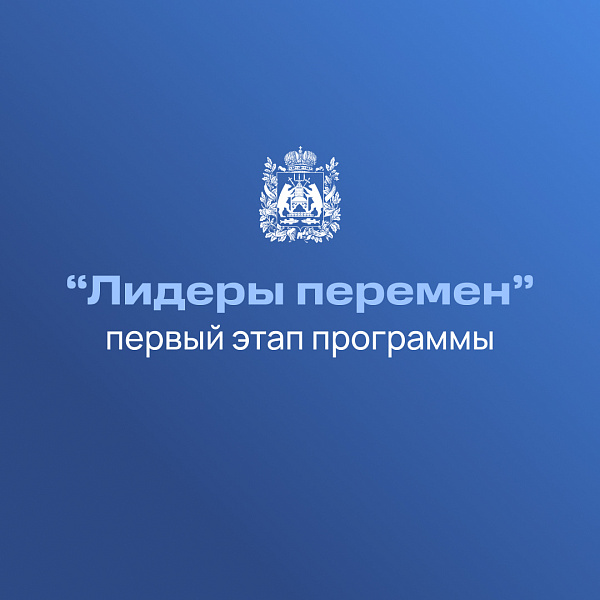 Члены Молодежного парламента при Новгородской областной Думе участвуют в программе по формированию управленческой команды региона «Лидеры перемен»