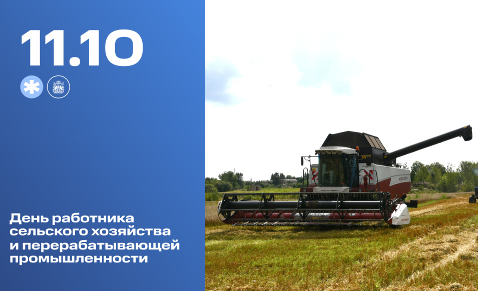 Сегодня новгородские аграрии отмечают День работника сельского хозяйства и перерабатывающей промышленности