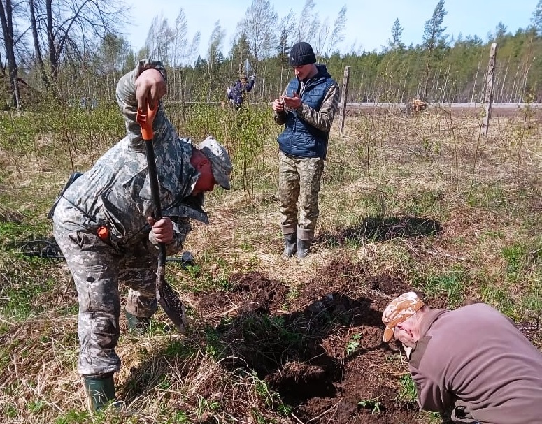 В Новгородской области продолжается весенний этап межрегиональной Вахты Памяти 