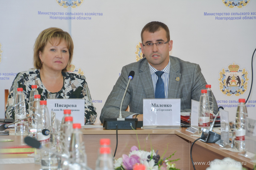 Елена Писарева провела дискуссионную площадку по двум национальным проектам