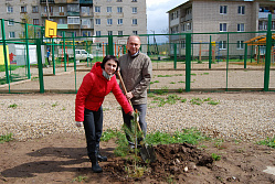 Депутат Юрий Саламонов принял участие в посадке деревьев