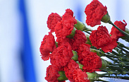 Елена Писарева возложила цветы к мемориальному комплексу, посвященному героям-освободителям Новгорода