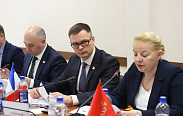 Максим Бомбин принял участие в заседании постоянного комитета ПАСЗР по вопросам местного самоуправления