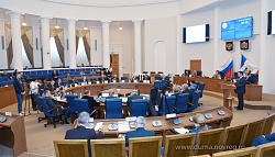 Депутаты приняли закон «О региональном капитале «Первый ребенок»