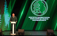 День работников леса