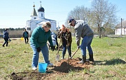 Акция «Посади дерево с ветераном» в Хвойнинском районе
