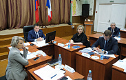 Елена Писарева приняла участие в заседании регионального правительства