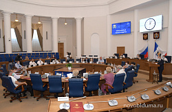 Депутаты выделили 1 миллиард рублей на мероприятия по противодействию коронавирусной инфекции