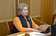 Елена Писарева обратилась к депутатам с призывом не прекращать работу по оказанию помощи жителям региона