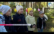 В детских садах Хвойнинского района одна за одной открылись игровые площадки