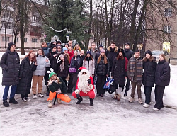 Денис Павлюк организовал два новогодних мероприятия для жителей своего избирательного округа в рамках акции «Новый год в каждый двор»