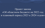 В Новгородскую областную Думу внесен проект областного бюджета на 2022 год