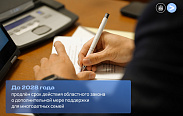Депутаты продлили до 2028 года срок действия областного закона о дополнительной мере поддержки для многодетных семей
