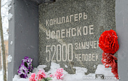 Елена Писарева приняла участие в торжественных мероприятиях, посвященных 77-летию освобождения Чудово 