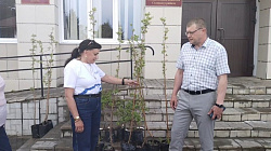 Ольга Борисова провела рабочий день в Солецком муниципальном округе